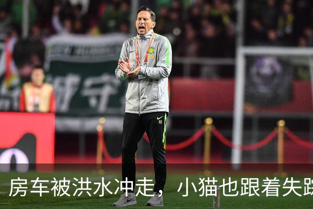 房车被洪水冲走，小猫也跟着失踪，8天后它突然回家了，全家人都哭了